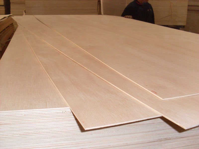 Plywood for Construction and Formwork - Image 6