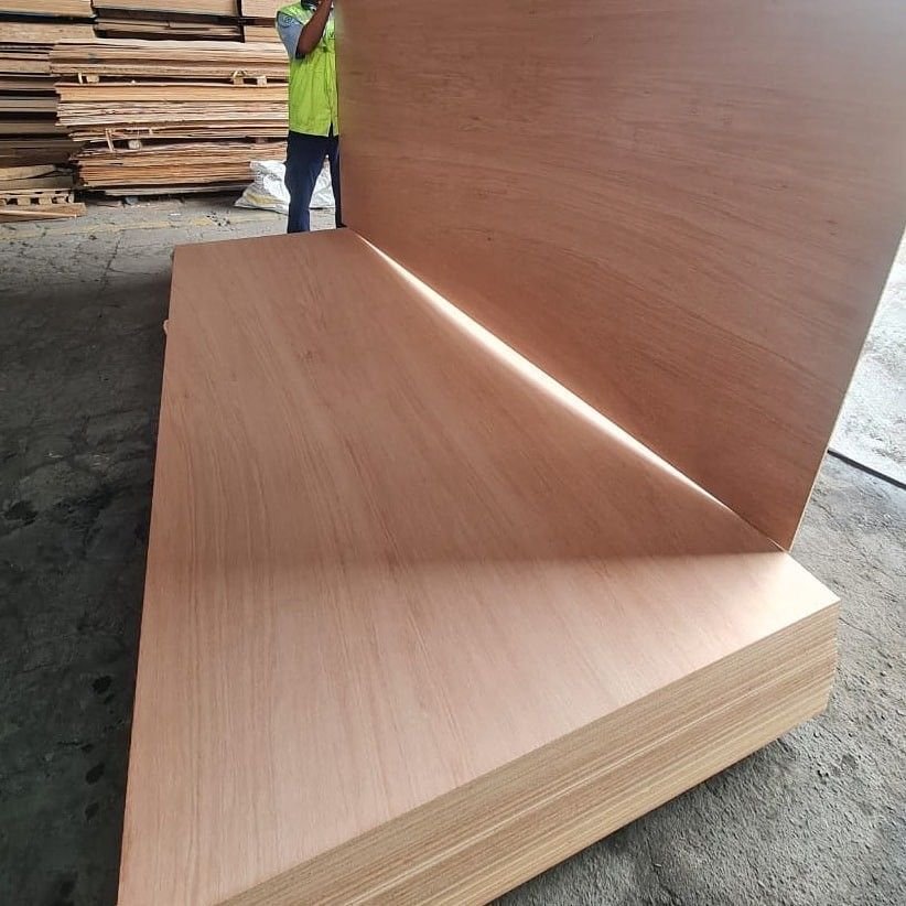 Plywood for Construction and Formwork - Image 2